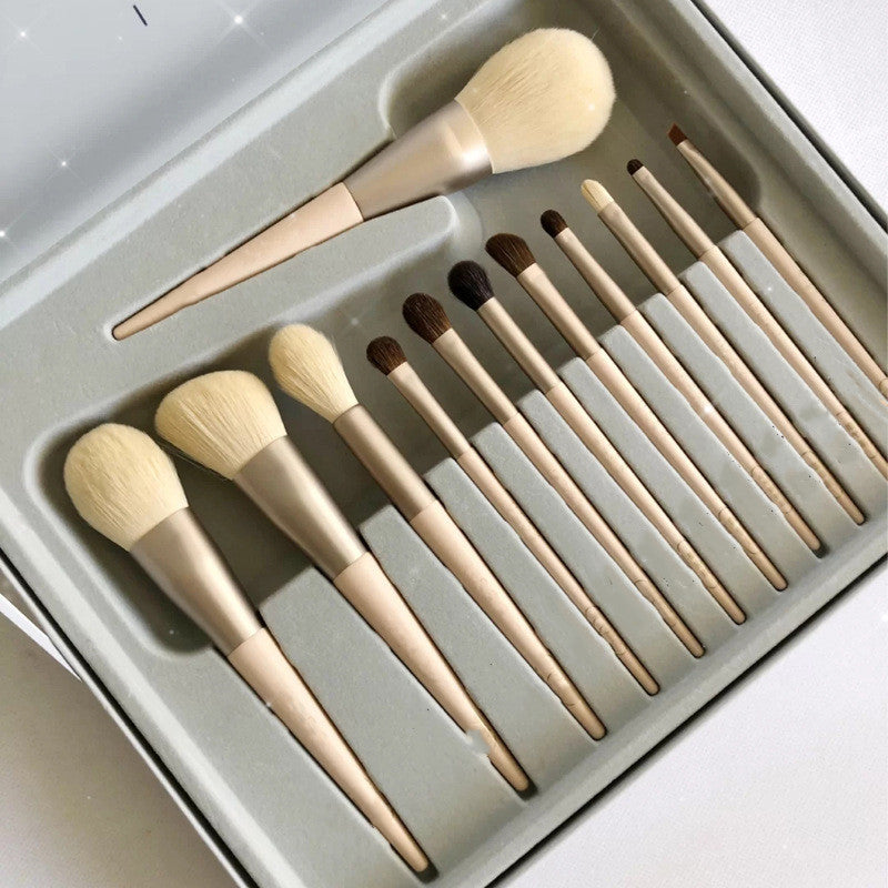 Makeup Brushes Set Of 12