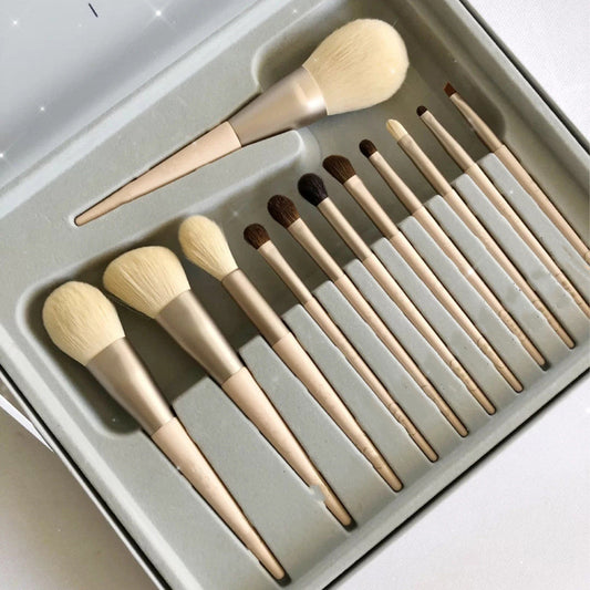 Makeup Brushes Set Of 12